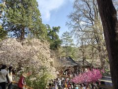 -潭柘寺景区