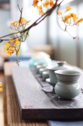 -酉嘉瑜伽YO+YOGA