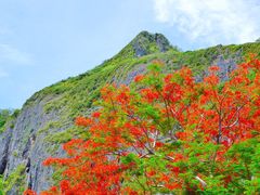 -日军最后司令部遗址
