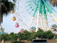 -巨鹏飞梦幻海岸