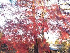 -轻井泽王子购物广场