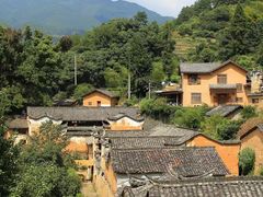 -杨家堂村