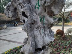 -宝岩生态观光园