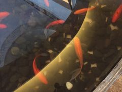 -元一希尔顿酒店·禅自助餐厅·啤酒花园