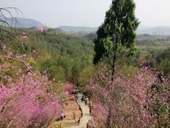 -天台山赤城山景区