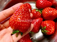 蓝色恋人草莓-果蔬好(江南赋店)