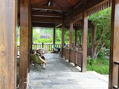 -龙寺生态园