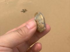 -后海村