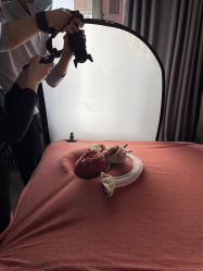 -西瓜庄园儿童摄影
