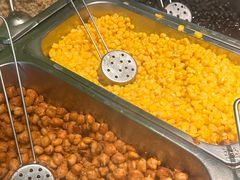 -油梨树AVOCADO TREE(顺义新国展店)