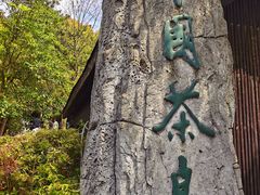 -天目湖山水园