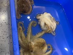 -仙螺岛海鲜自助餐厅(总店)