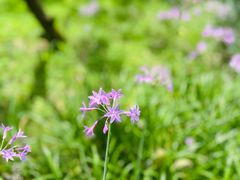 -贵阳市花溪国家城市湿地公园
