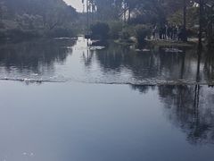 -云溪植物园