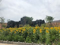 -千姿湖生态旅游景区