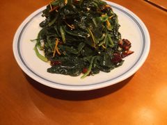 -老阿妈蒙古村·蒙古包·草原文化·歌舞表演(老君堂店)