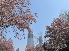 -天津五大道文化旅游区