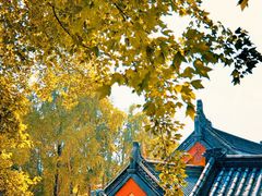 -九华山公园