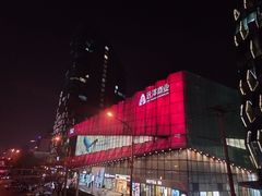 -远洋未来汇