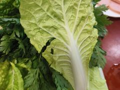 -菌之家·专业纯野生菌火锅·特色炒菌