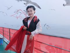 -长岛万鸟岛