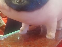 -猪角·闽南猪脚饭(上梅林店)