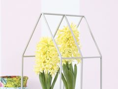 -缘久缘米粉(新街口店)