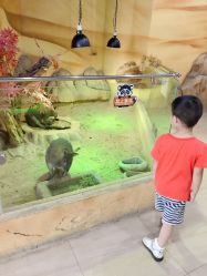 -未来动物城主题公园(正弘城店)