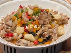 干锅牛蛙-旺福(晶都苑店)