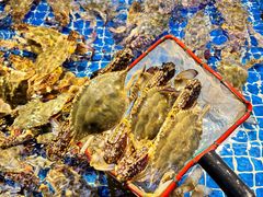 -驻海渔市(置信店)