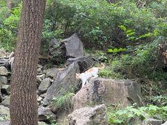 -封龙山风景区