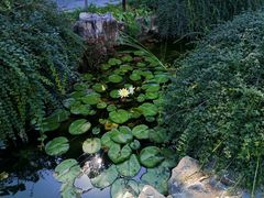 -青州古城
