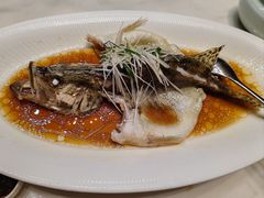 清蒸鳜鱼-同庆楼(建邺万达店)