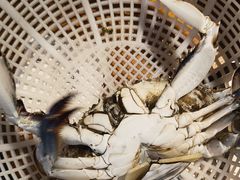 -三个渔夫·蒸汽海鲜(小白楼店)