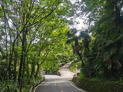 -凤栖山
