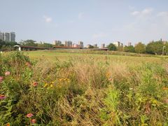 -白塘生态植物园