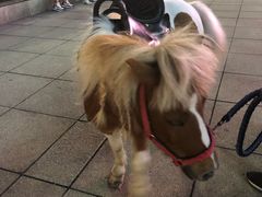 -汇德隆银隆