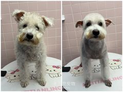-FAELING PETS美天灵宠物(富力广场店)