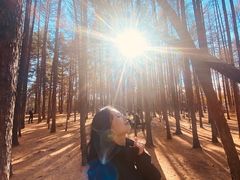 -北极村旅游风景区