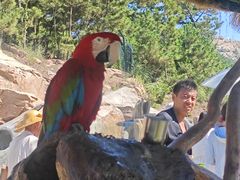 -西霞口神雕山野生动物世界