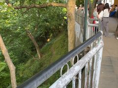 -灵顺寺