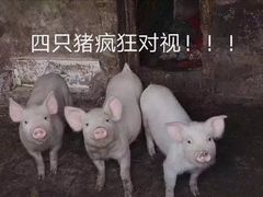 -星巴克(德阳洋洋百货店)