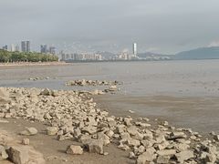 -深圳湾公园(南山区)