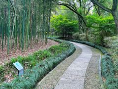 -兰亭风景区