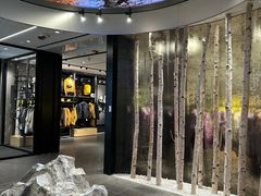 -ARC'TERYX始祖鸟(北京王府中环店)