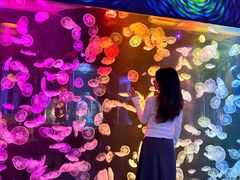-顺德南宏海立方海洋公园