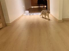 -猫腻·猫咖·撸猫馆(星光大道店)