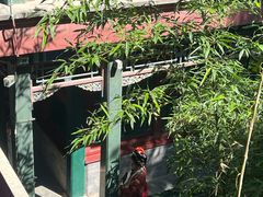 -莲池书院博物馆