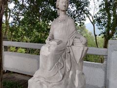 -银湖山郊野公园-相思林