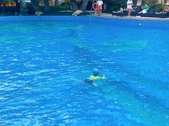 -上海浦东星河湾酒店